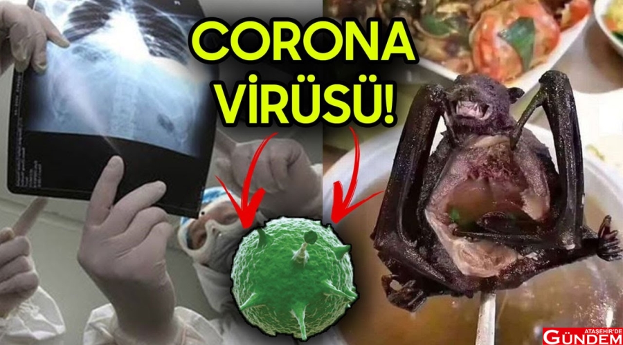 Corona virüsü nasıl bulaşıyor? corona vürüsü